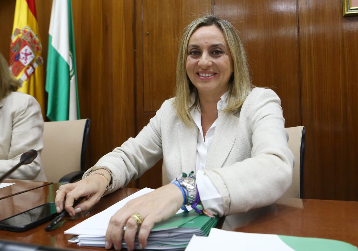 Carazo: «Las obras de la variante de Mojácar van cumpliendo los plazos»