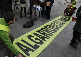 TSJA abre pieza separada para recusar a una de las magistradas que decide sobre Algarrobico