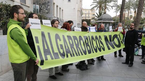 Ecologistas se alinean con Junta y piden a TSJA que anule acuerdos de Carboneras sobre Algarrobico