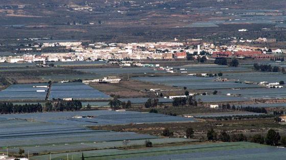 Arranca este lunes el juicio a once acusados de cultivar 52.300 plantas de marihuana en invernaderos de Níjar