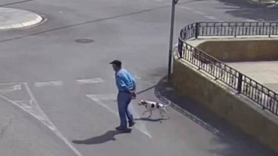 Hallan el cuerpo del desaparecido hace dos semanas en Huércal-Overa por los ladridos de su perra