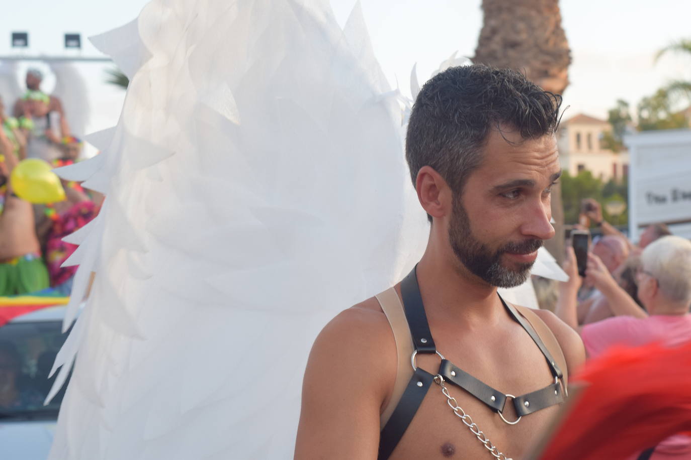 Vera se torna multicolor