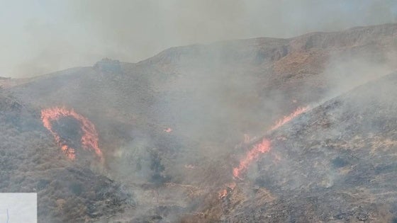 Estabilizan el incendio forestal del paraje La Loma de Antas