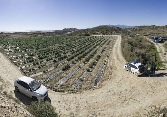Terrenos en especial vigilancia, en la localidad cuevana de Palomares.