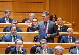 Miguel Ángel Castellón, en el Senado.