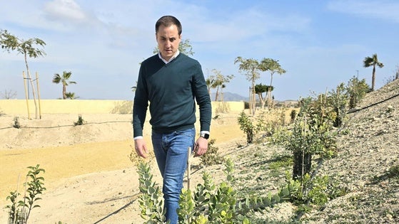 Vera pone en marcha un ambicioso plan de reforestación y repoblación vegetal urbana