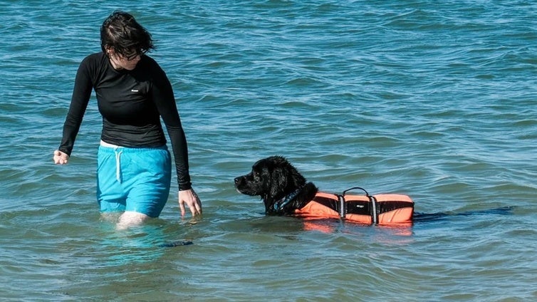 El municipio de Mojácar abrirá en 2025 su primera playa canina y se suma a las tres ya habilitadas en Almería