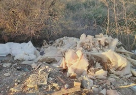 La Junta licita el sellado y clausura del vertedero de Cuevas del Almanzora por 1,7 millones