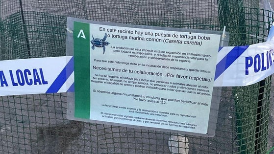 Encuentran el primer nido de tortuga boba en una playa de Mojácar