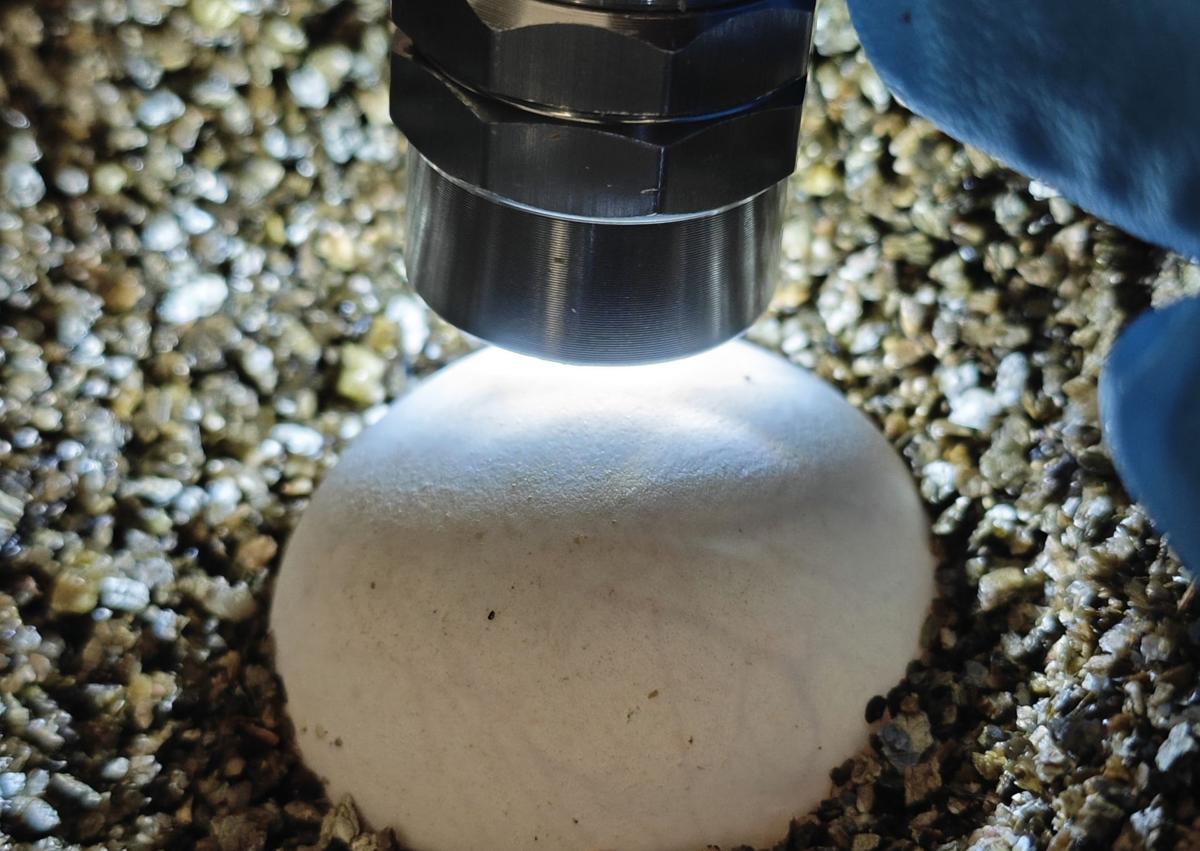 Imagen secundaria 1 - Un total de 56 tortugas bobas ha nacido del nido de la playa de la Rumina de Mojácar