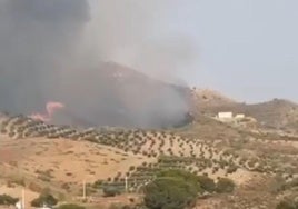 Incendio forestal en Lubrín, en una zona que ya ardió en julio