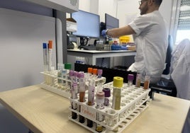 Pulpí y Mojácar seguirán en alerta por virus del Nilo hasta el 10 de septiembre