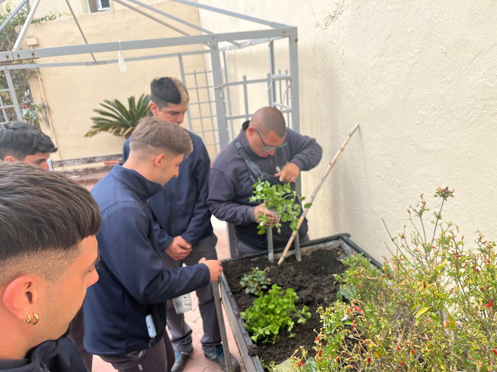 Imagen secundaria 2 - El renacer verde de Cuevas del Almanzora, en manos del alumnado del Programa de Empleo y Formación