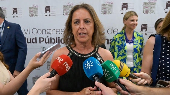 La Junta confía en «una rectificación» de los ediles del PSOE para cumplir la sentencia sobre El Algarrobico