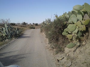 Arreglo de caminos rurales en Huércal Overa