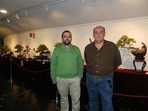 El mundo de los bonsáis llega a Huércal-Overa