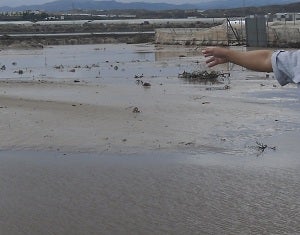 Agricultores solicitan ayudas "directas" del Gobierno para paliar los daños en las cosechas