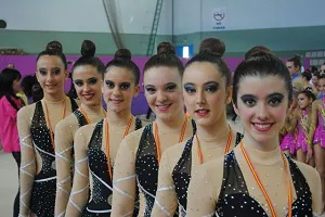 Las jóvenes gimnastas veratenses se traen tres oros, una plata y un bronce del II Trofeo Diputación celebrado el domingo en Granada