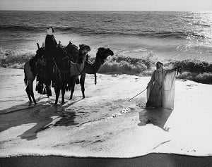 El Ayuntamiento de Carboneras inaugura la escultura homenaje a la película Lawrence de Arabia