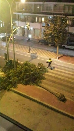 El fuerte viento deja algunas incidencias en la provincia