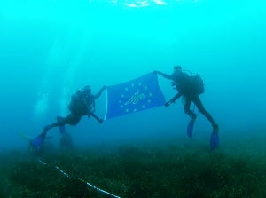 La exposición ‘Posidonia 100% Mediterránea’ llega a Vera para poner en valor los fondos marinos del Levante