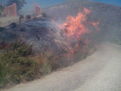 Un incendio arrasa dos hectáreas de matorral en Bédar