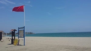 Salud confirma que hay 65 casos de personas afectadas por la microalga en el Levante
