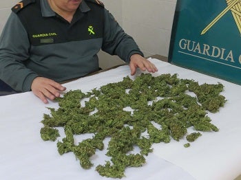 Dos vecinos de Vera y uno de Cuevas detenidos por cultivar marihuana