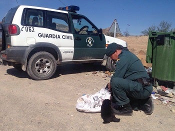Investigan a dos huervalenses por tirar en un contenedor a ocho cachorros