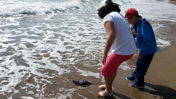 Liberan 13 tortugas bobas en Pulpí