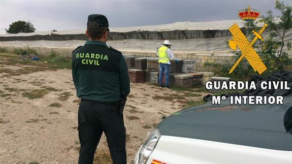 'Cazan' a los ladrones de colmenas en explotaciones apícolas de Níjar