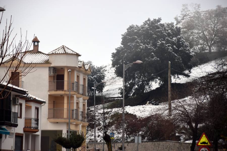 El Poniente se tiñe de blanco 