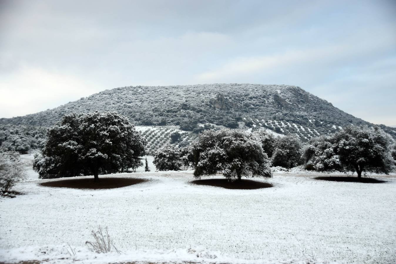 Ventorros de San José, Montefrío y la carretera a Tocón, tras la nevada de este domingo