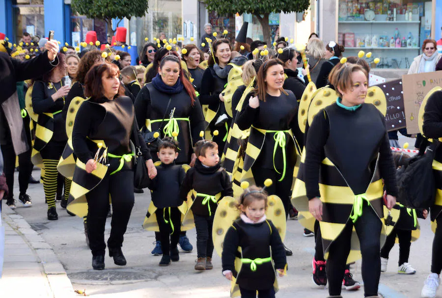 Pasacalles Escolar de Carnaval en Loja