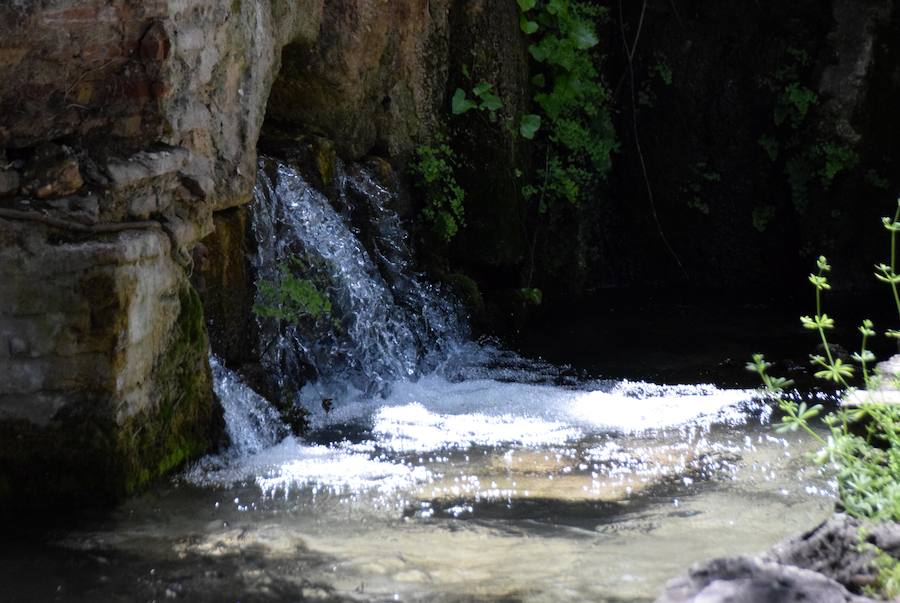 Fotos: El nacimiento de Riofrío, pleno en primavera