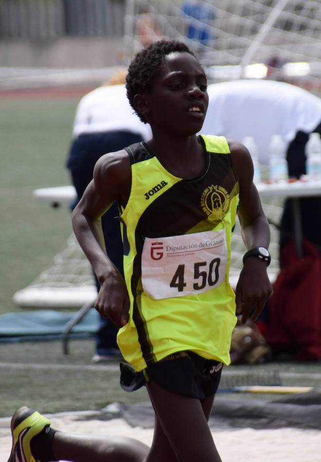 Fotos: El circuito provincial de Atletismo en Pista regresa a Loja tras varios años