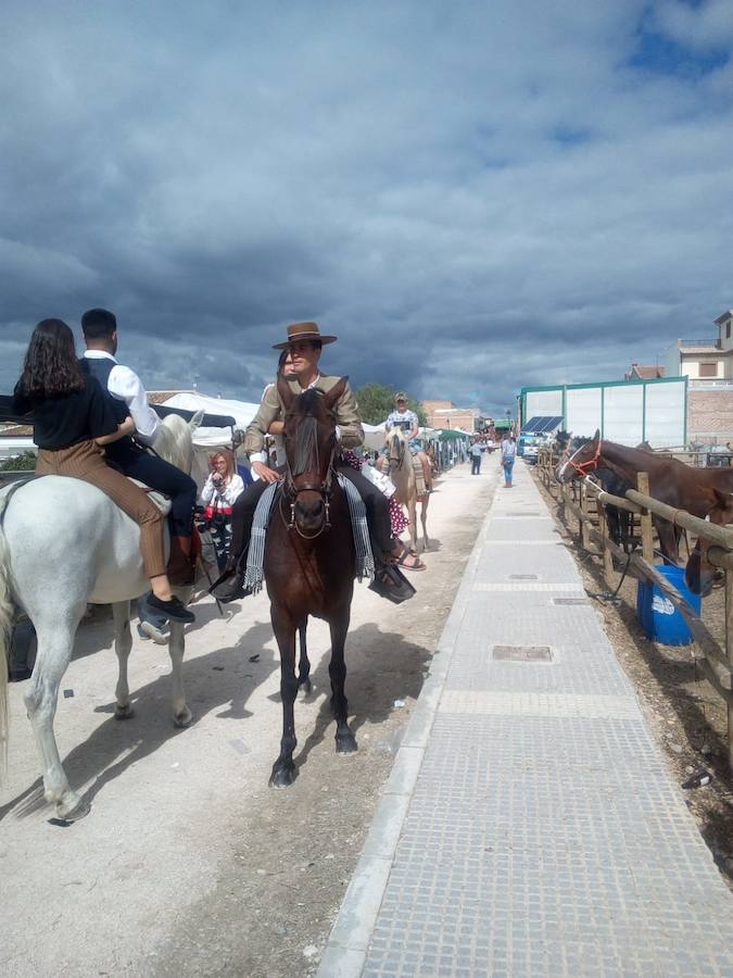 Fotos: 182 años de feria salareña