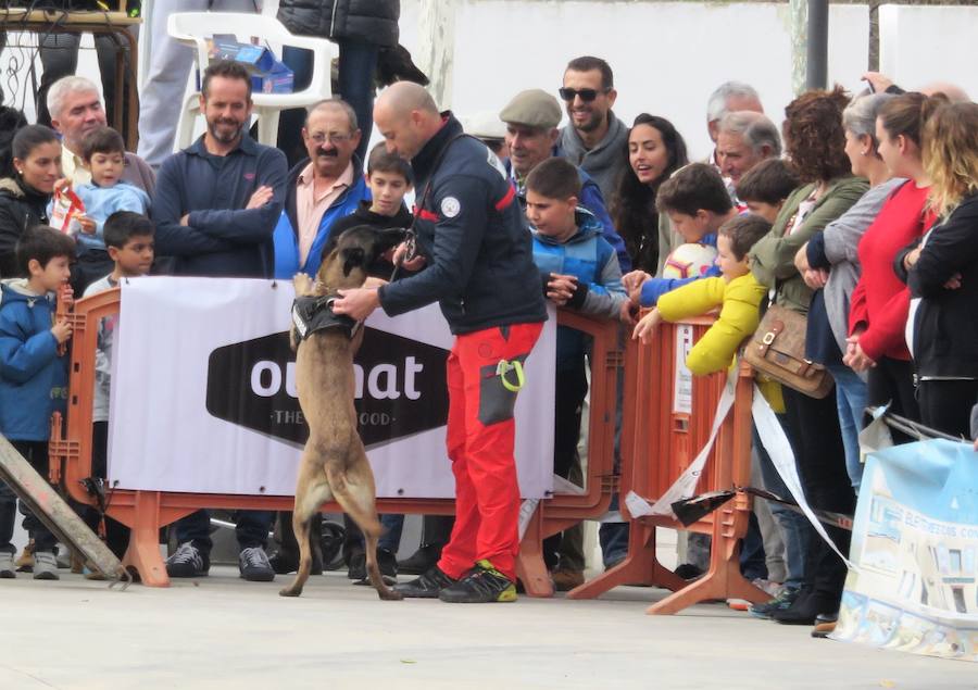 La asociación 'Quiérete' de Villanueva Mesía echa a andar y lo hace con fuerza, fomentando el empoderamiento de las mujeres y mostrando su lucha contra la Violencia de Género y el apoyo a las víctimas. Y se estrenan con una exhibición canina que, con la organización de K13 y el Ayuntamiento, ha contado con la colaboración de las unidades de Bomberos y Policía Local de Loja, Policía Local de Otura, Policía Local de Maracena y Policía Local de Monachil.