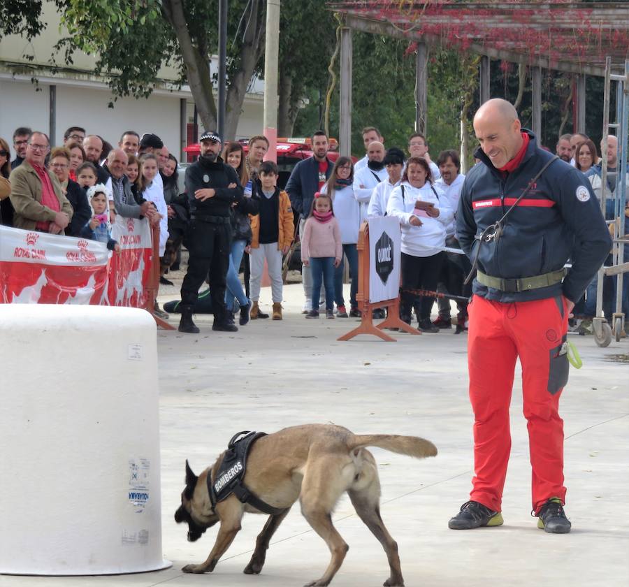 La asociación 'Quiérete' de Villanueva Mesía echa a andar y lo hace con fuerza, fomentando el empoderamiento de las mujeres y mostrando su lucha contra la Violencia de Género y el apoyo a las víctimas. Y se estrenan con una exhibición canina que, con la organización de K13 y el Ayuntamiento, ha contado con la colaboración de las unidades de Bomberos y Policía Local de Loja, Policía Local de Otura, Policía Local de Maracena y Policía Local de Monachil.