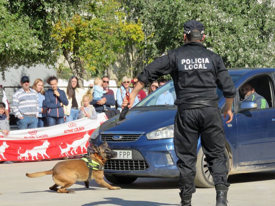 La asociación 'Quiérete' de Villanueva Mesía echa a andar y lo hace con fuerza, fomentando el empoderamiento de las mujeres y mostrando su lucha contra la Violencia de Género y el apoyo a las víctimas. Y se estrenan con una exhibición canina que, con la organización de K13 y el Ayuntamiento, ha contado con la colaboración de las unidades de Bomberos y Policía Local de Loja, Policía Local de Otura, Policía Local de Maracena y Policía Local de Monachil.