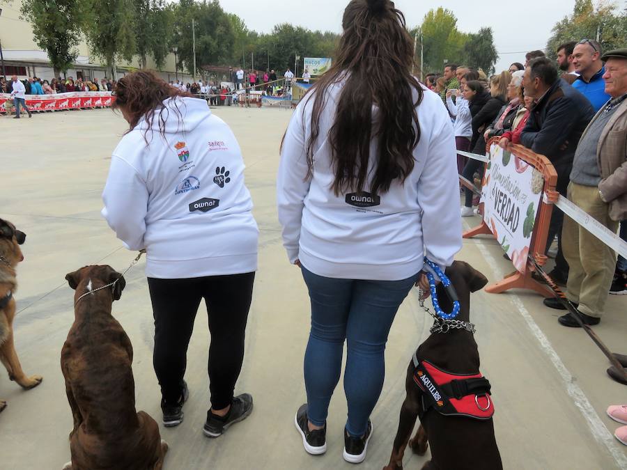 La asociación 'Quiérete' de Villanueva Mesía echa a andar y lo hace con fuerza, fomentando el empoderamiento de las mujeres y mostrando su lucha contra la Violencia de Género y el apoyo a las víctimas. Y se estrenan con una exhibición canina que, con la organización de K13 y el Ayuntamiento, ha contado con la colaboración de las unidades de Bomberos y Policía Local de Loja, Policía Local de Otura, Policía Local de Maracena y Policía Local de Monachil.