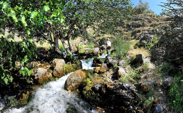 Nacimiento de Riofrío, nuevo Monumento Natural de Andalucía