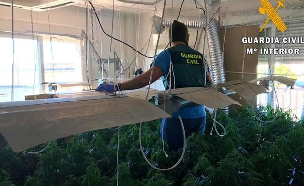 Detenido por cultivar marihuana en la casa que compartía con su hijo menor en Roquetas