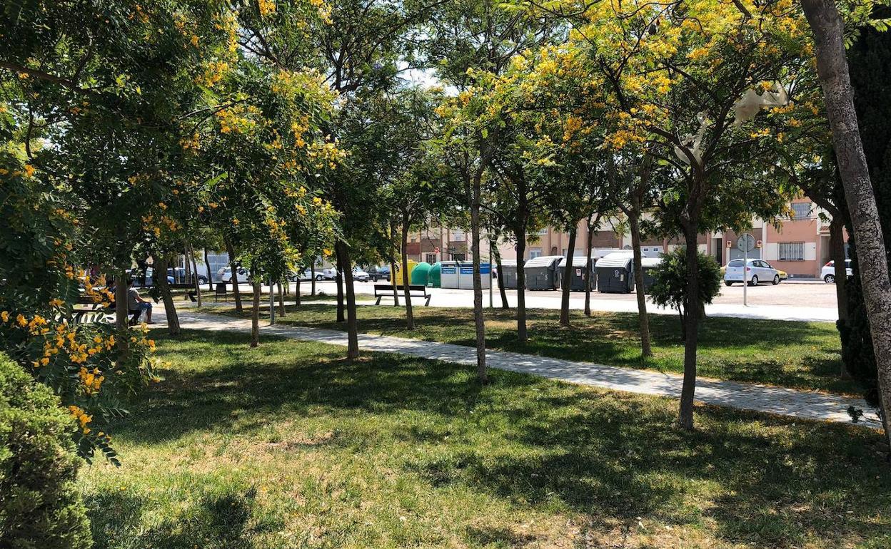 La Audiencia Provincial confirma la absolución del exalcalde de La Mojonera y su equipo por construir un parque