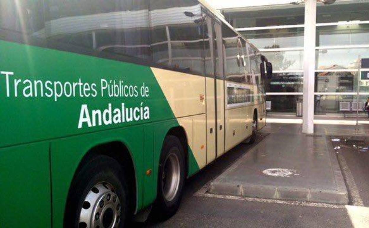 El PSOE propone que los buses sean gratis mientras siga cortado El Cañarete