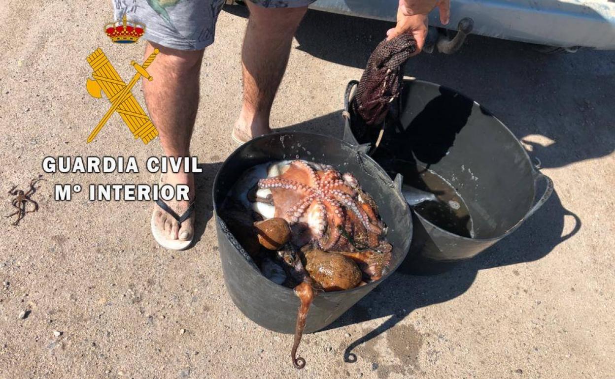 La Guardia Civil interviene 30 kilos de pulpo a dos buceadores en Roquetas de Mar