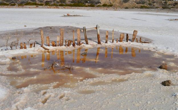 Los trozos han aparecido clavados a unos metros de la compuerta, lo que demuestra el carácter vandálico de lo ocurrido. 