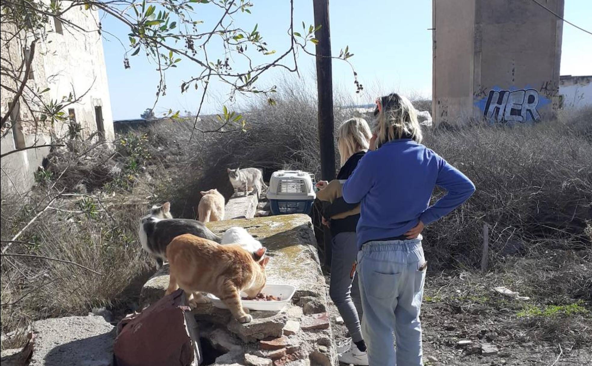 Ángeles de la guarda con siete vidas