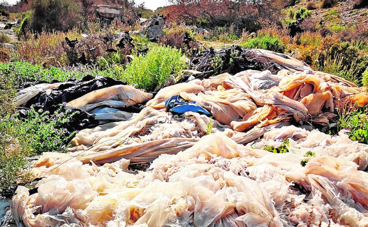 Los residuos agrícolas inundan la provincia