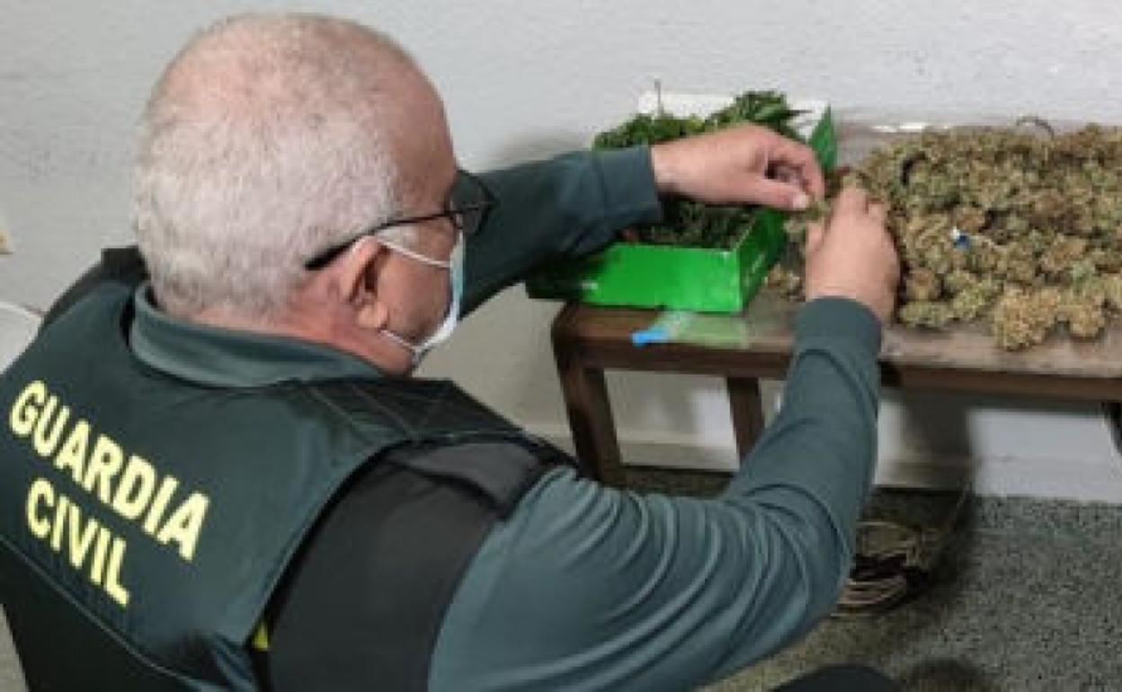 Sucesos en Almería | Dos detenidos en Vícar por cultivar marihuana en el interior de su vivienda
